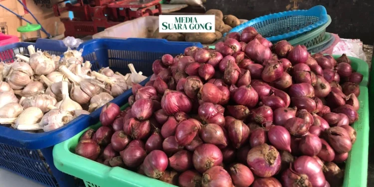 bawang merah