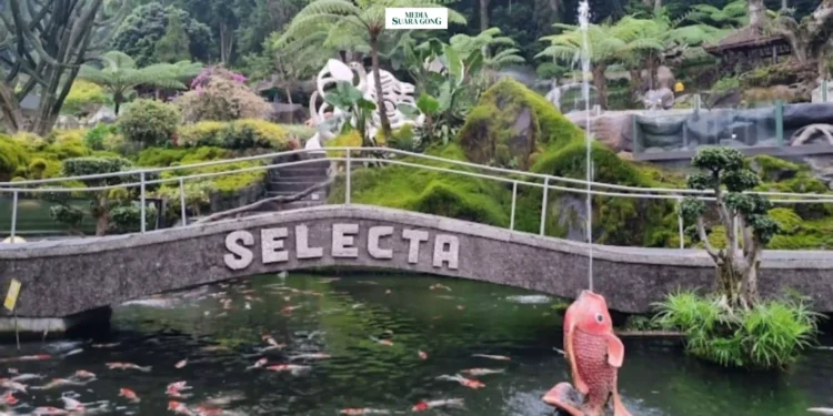 memperingati HUT ke-23 Kota Batu, sejumlah objek wisata di Kota Batu adakan promo, Termasuk Taman Rekreasi Selecta dan beberapa wana wisata alam