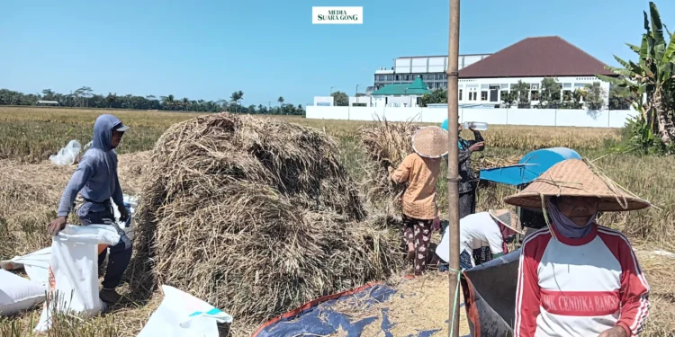 Dewan Kabupaten Malang Temukan Belasan Desa Rentan Pangan