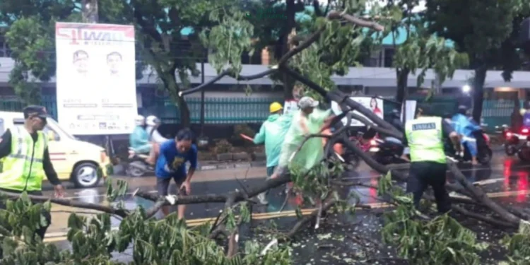 Polsek Sukun, bersama Bhabinsa, DLH Kota Malang, BPBD Kota Malang, dan Linmas Kelurahan Gadang melakukan evakuasi pohon tumbang di Jl. Raya Kolonel Sugiyono